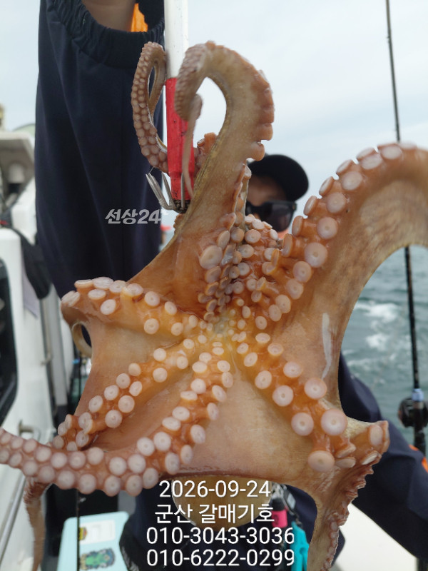 9753.jpg