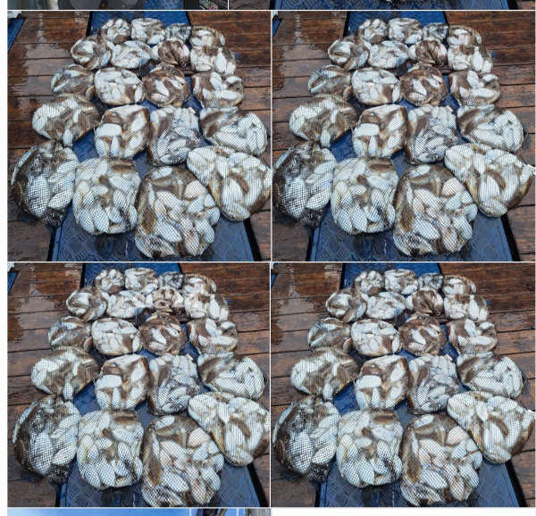 1000081700.jpg