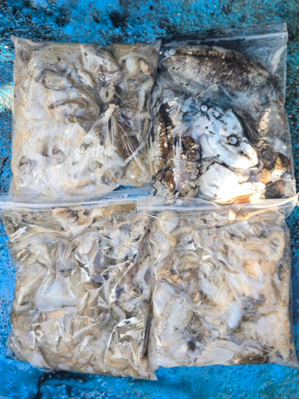 1790672171784.jpg
