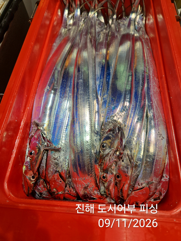 KakaoTalk_20260911_050759490_15.jpg
