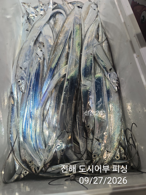KakaoTalk_20260927_050422422_15.jpg