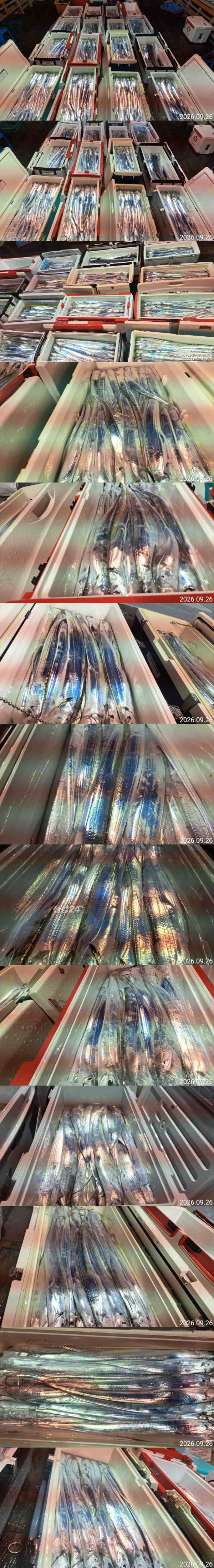2222.jpg