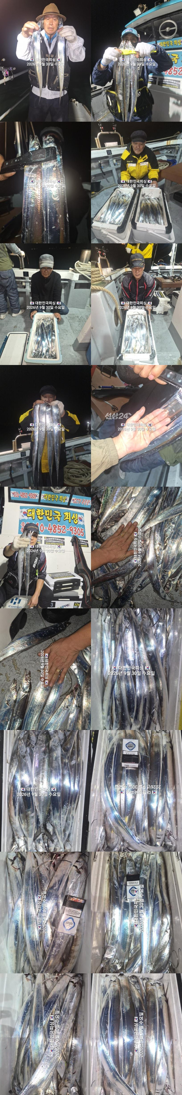 갈치1.jpg