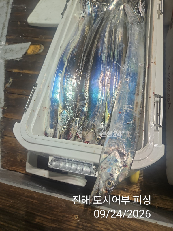 KakaoTalk_20260924_050456578_16.jpg