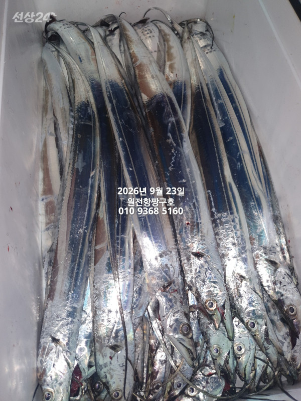 KakaoTalk_20260923_112349414_05.jpg