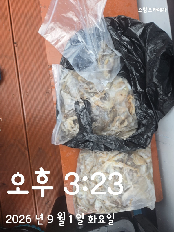 1000016720.jpg