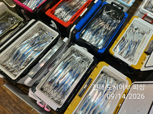 KakaoTalk_20260914_045414421_17.jpg