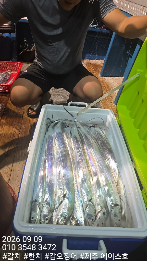 KakaoTalk_20260909_110440894_05.jpg