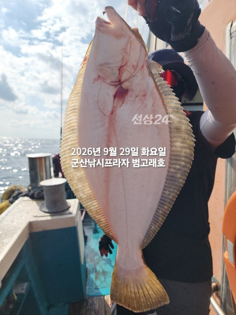 KakaoTalk_20260929_140337047_12.jpg