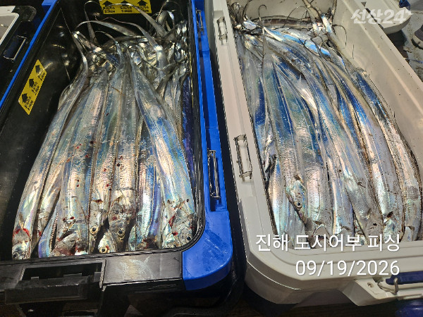 KakaoTalk_20260919_054500726_12.jpg