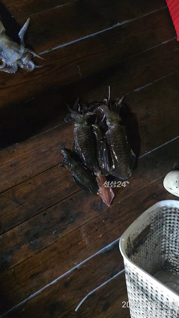 TimeVideo_20260929_015304(1).jpg