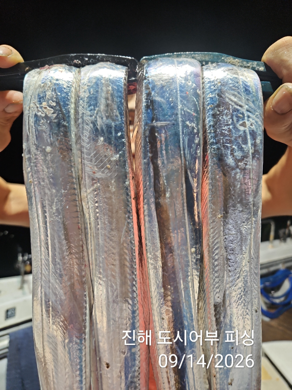 KakaoTalk_20260914_045414421_04.jpg