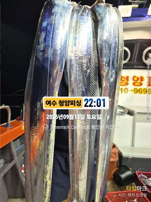 2026-09-12 22.01.06__(제목-여수 청양피싱).jpg