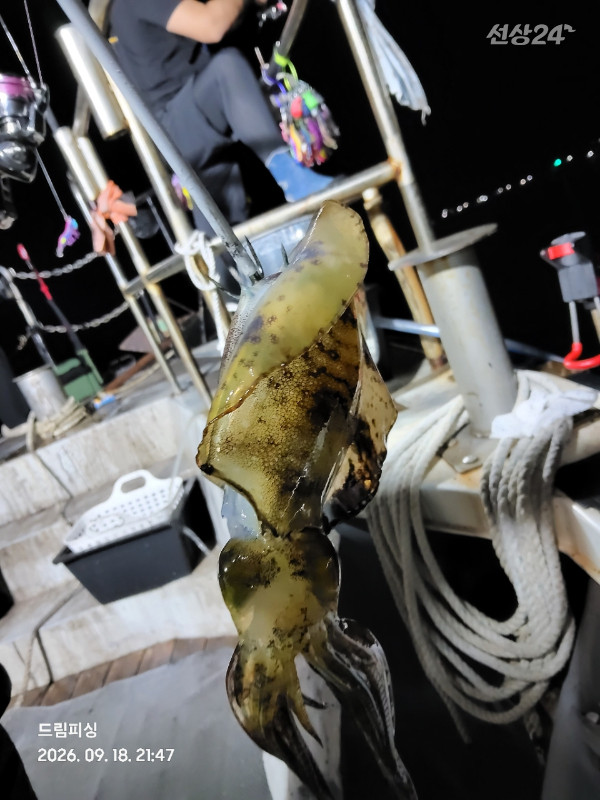 BandPhoto_2026_09_19_03_54_21_3.jpg