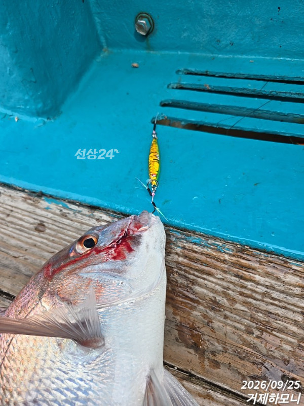 TimePhoto_20260925_121744.jpg