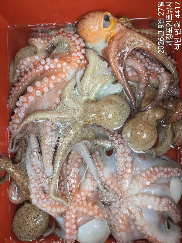 KakaoTalk_20260929_172401356_08.jpg