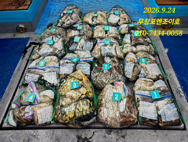 73847.jpg