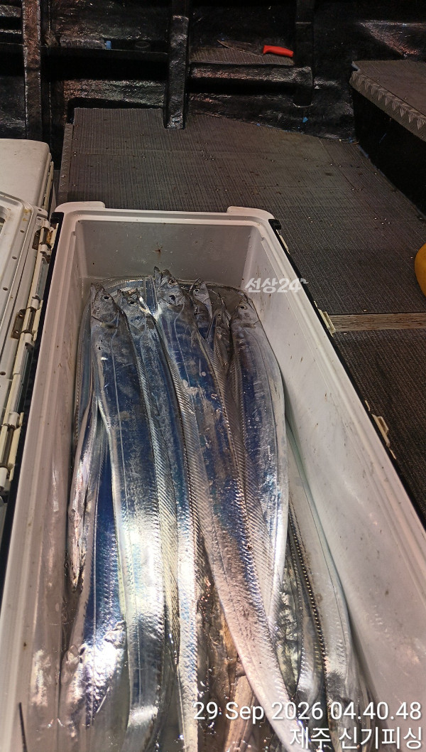 KakaoTalk_20260930_194546458_07.jpg