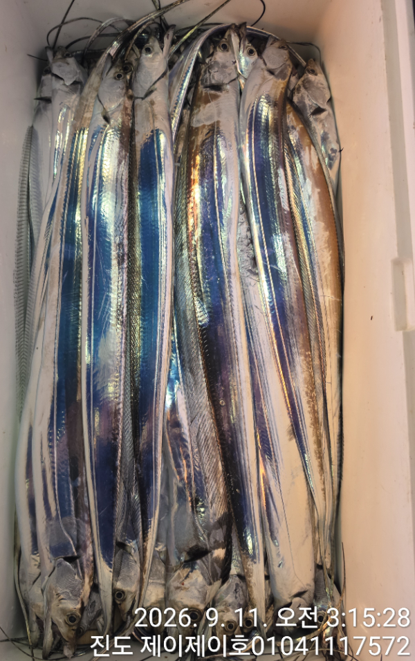 1000054796.jpg