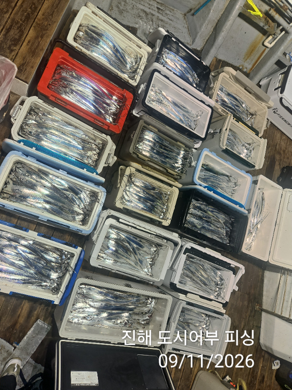 KakaoTalk_20260911_050759490_09.jpg