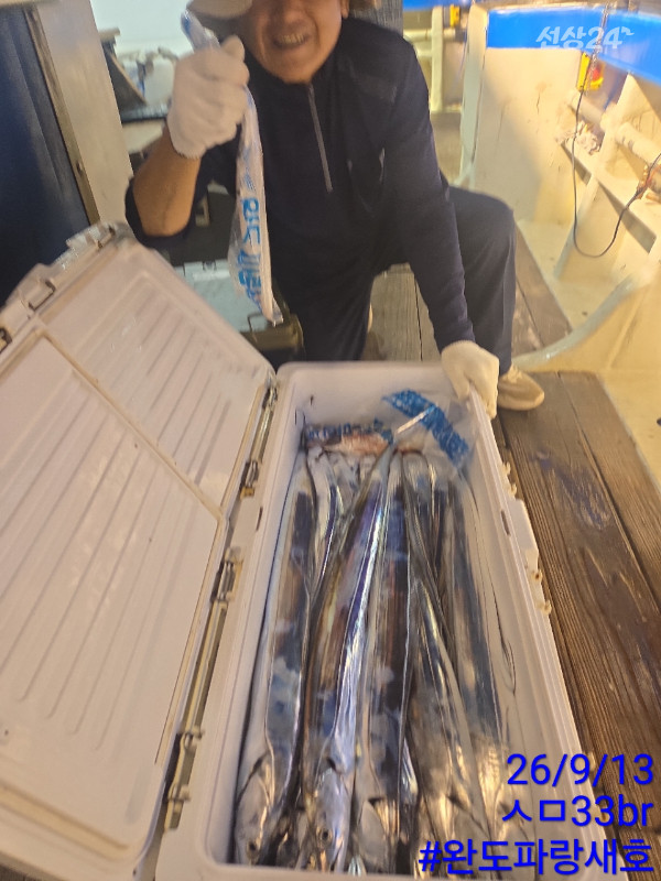 완도파랑새호(블루버드)_사진_20260913_5.jpg