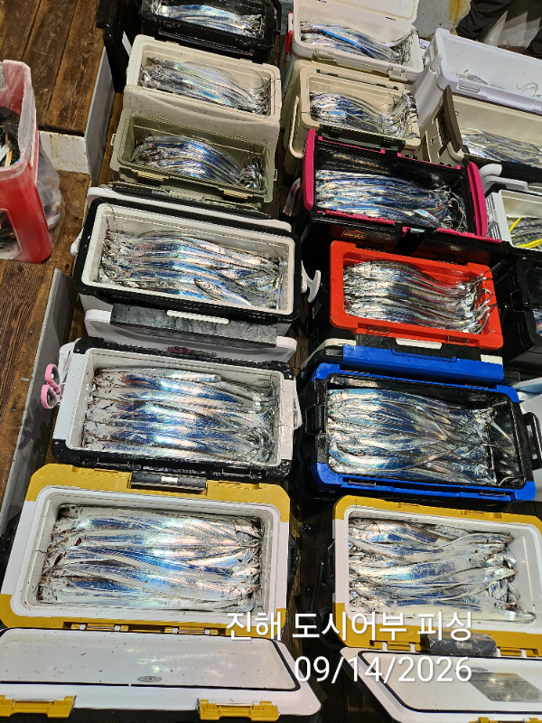 KakaoTalk_20260914_045414421_15.jpg