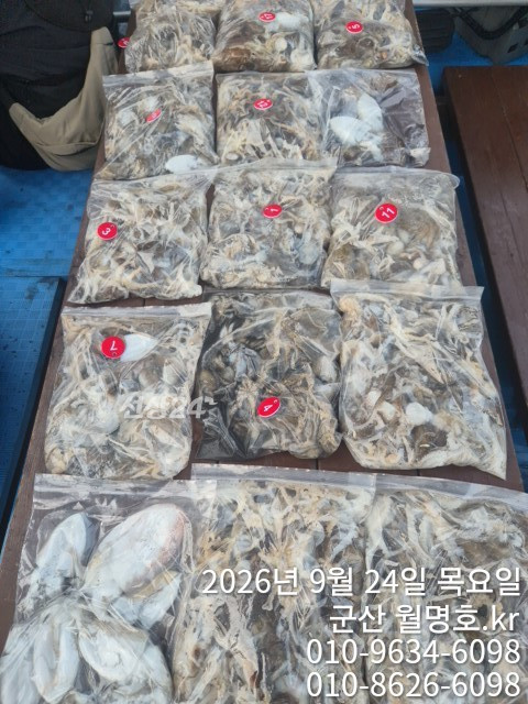 17072.jpg