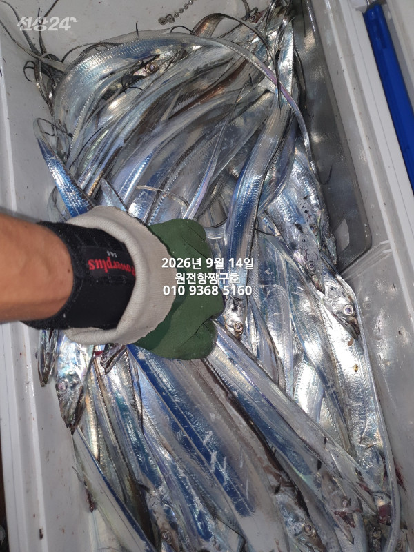 KakaoTalk_20260914_114003950_18.jpg