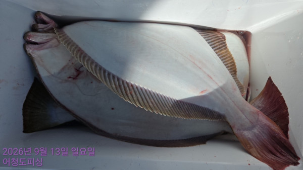 최강피싱 063.463.0800_사진_20260913_26.jpg