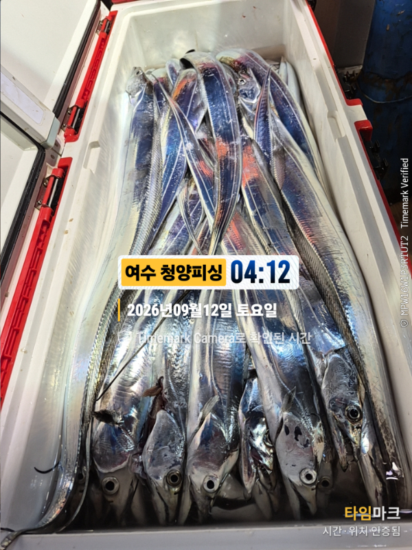 2026-09-12 04.12.34__(제목-여수 청양피싱).jpg