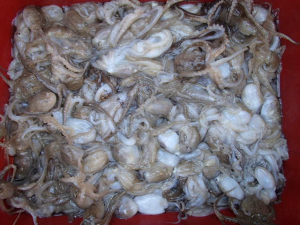 118.JPG