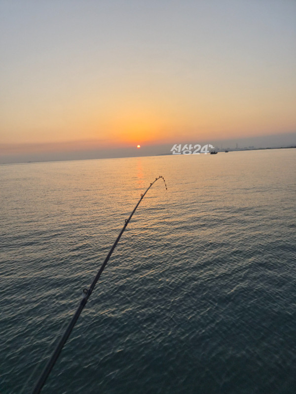 39438.jpg