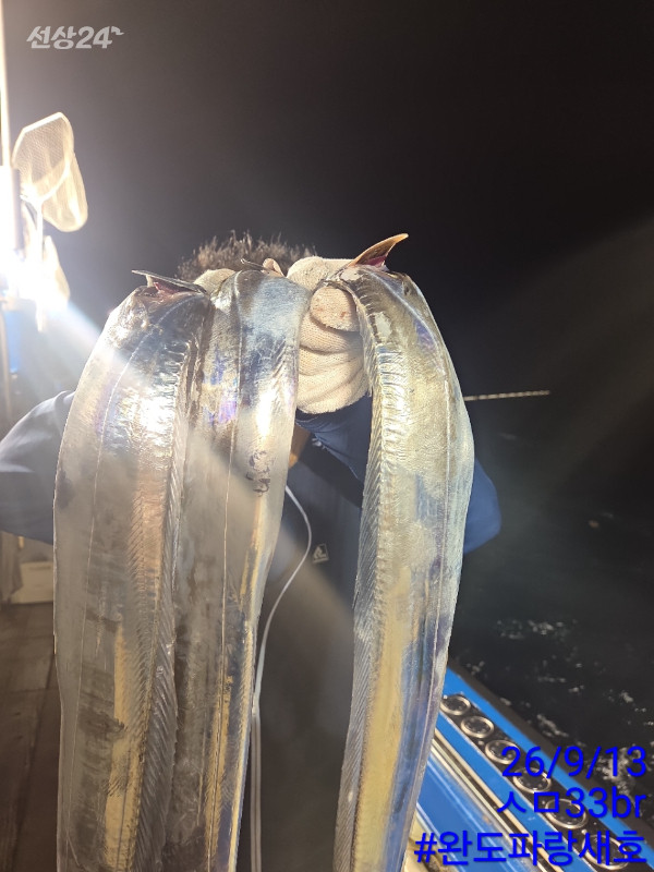 완도파랑새호(블루버드)_사진_20260913_14.jpg