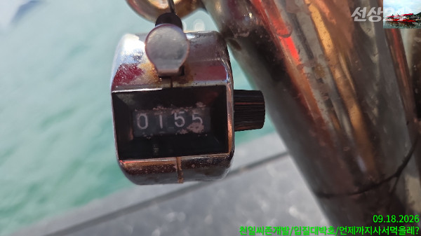 1000034431.jpg