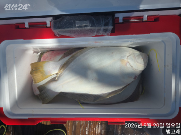 KakaoTalk_20260920_154419933.jpg