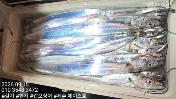 KakaoTalk_20260916_075247682_06.jpg