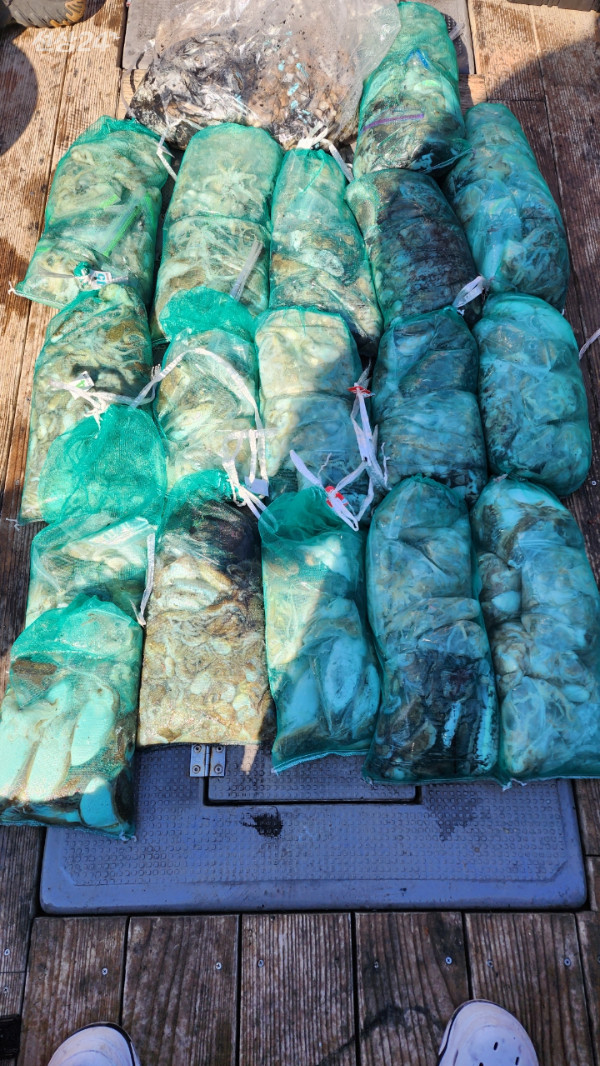 1000001441.jpg