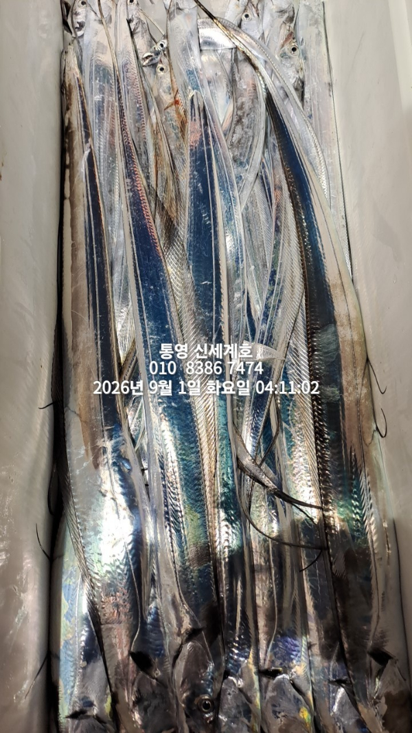 1788213244178.jpg