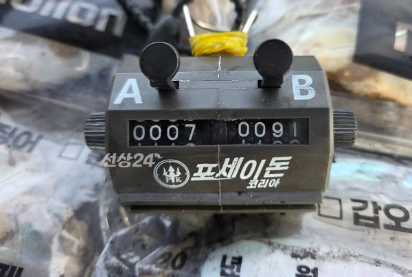 24309.jpg