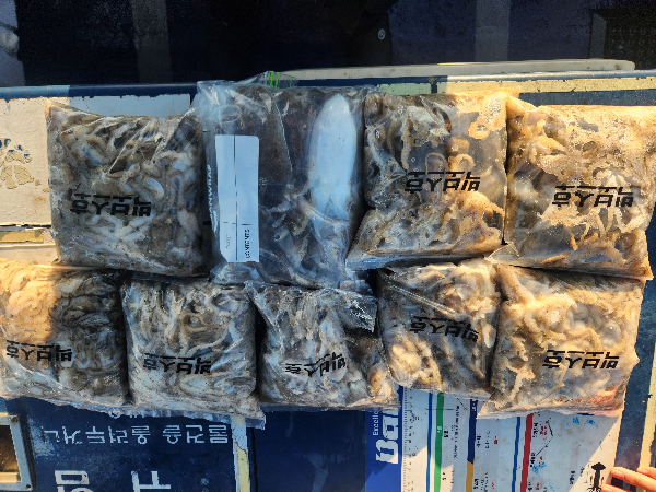 KakaoTalk_20260908_201242730_01.jpg