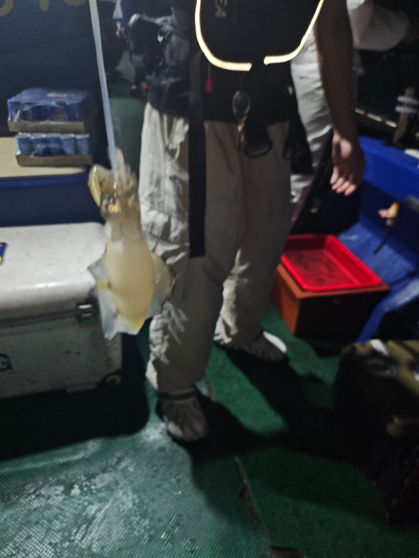 KakaoTalk_20260914_014814524_16.jpg