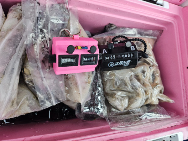 오천항 가즈아호_사진_20260901_10.jpg