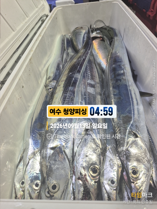 2026-09-13 04.59.28__(제목-여수 청양피싱).jpg