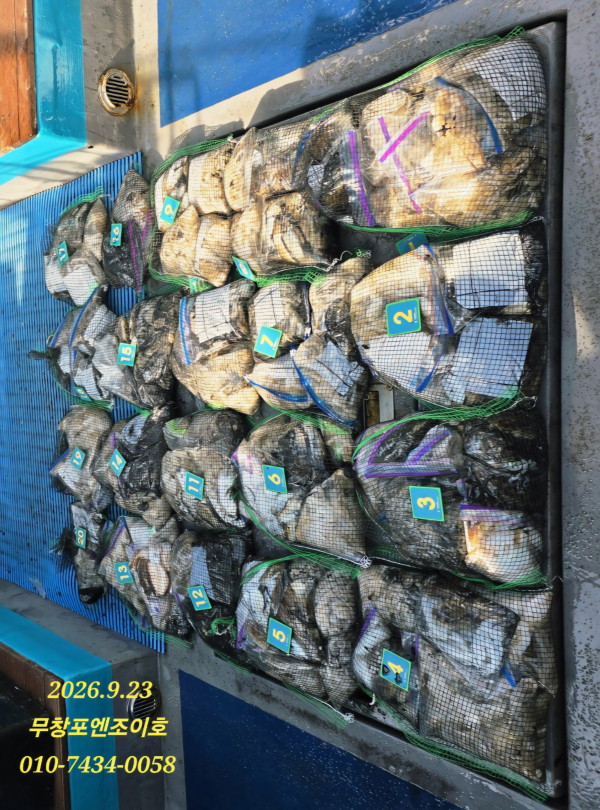 73646.jpg