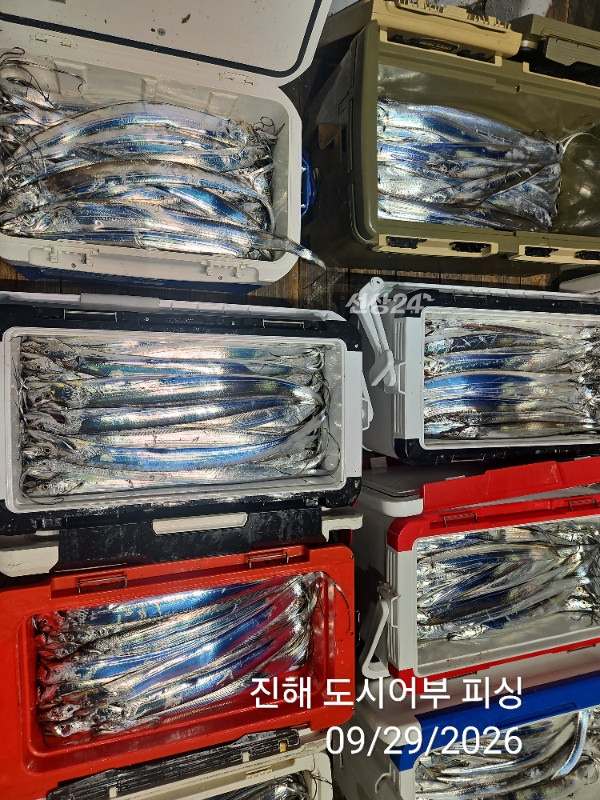 KakaoTalk_20260929_052220398_11.jpg