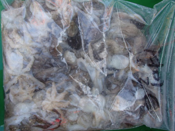 105.JPG