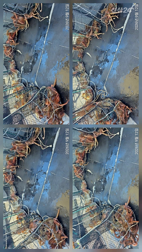 1000158482.jpg