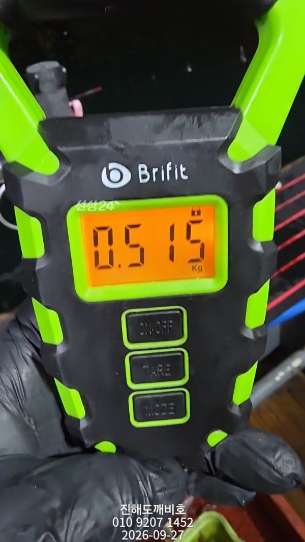 8630.jpg