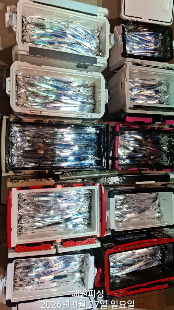 1000037026.jpg