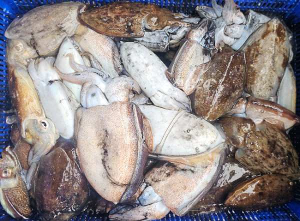 KakaoTalk_20260928_201331890_01.jpg